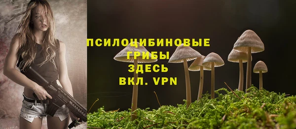 Альфа ПВП Алзамай