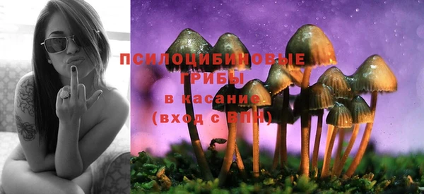 jwh Абаза