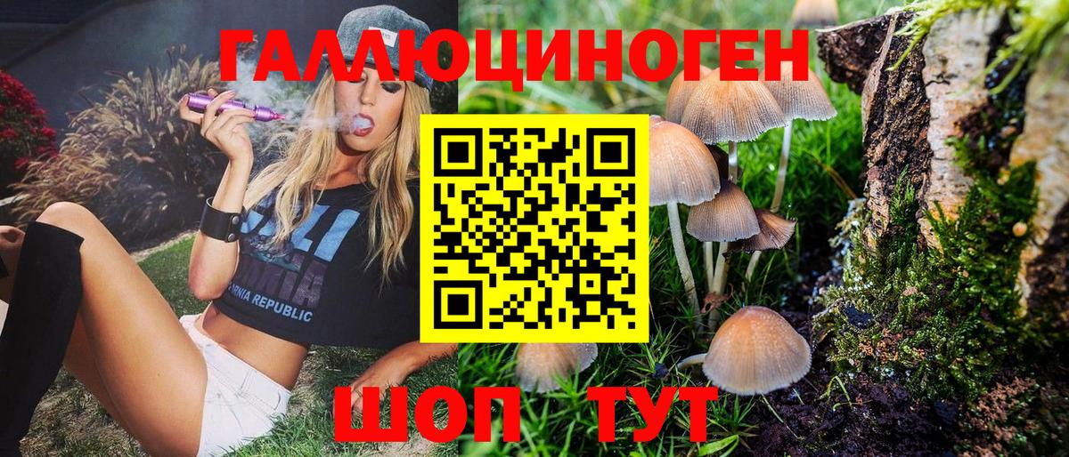 Псилоцибиновые грибы мицелий  Вход с VPN  Пенза  Галлюциногенные грибы Magic Shrooms 